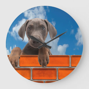 imagen mascota para reloj de pared redonda-grande