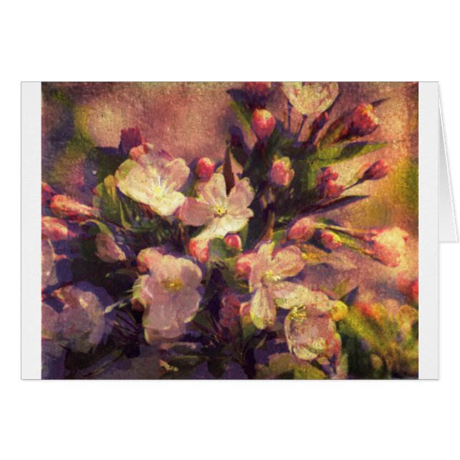 Imagen Painterly del flor de Crabapple (Anverso (Horizontal))