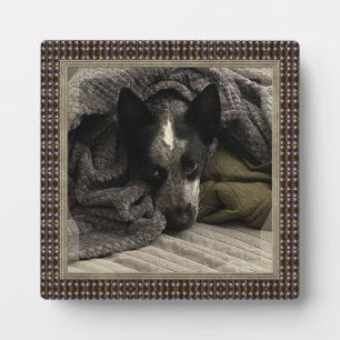 Imagen permanente con marco falso Metalizado HAMbW