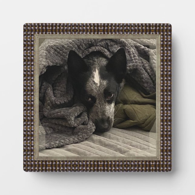 Imagen permanente con marco falso Metalizado HAMbW (Frente)