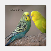 Imagen personalizada de dos loros con texto Imán c