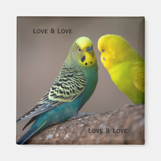 Imagen personalizada de dos loros con texto Imán c (Frente)