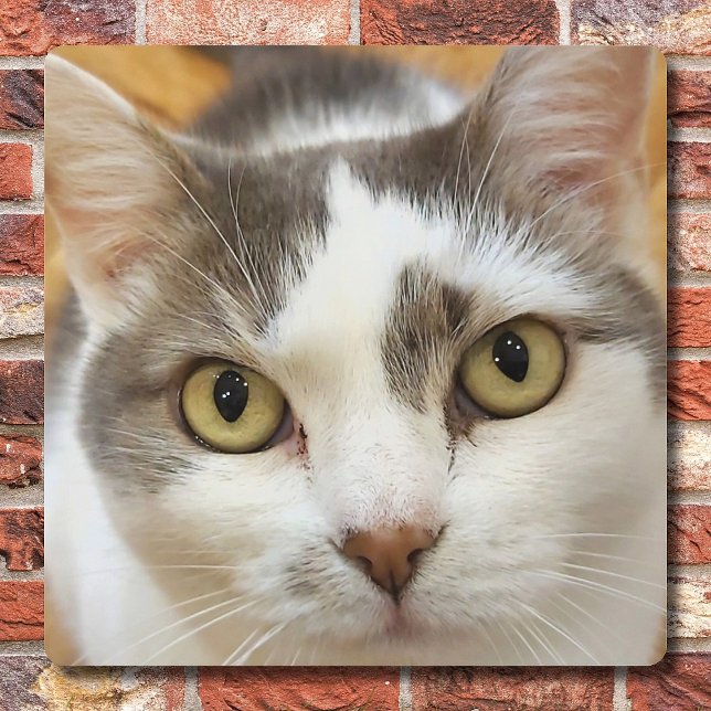 Imagen personalizado de impresión Metalizado perso (Subido por el creador)