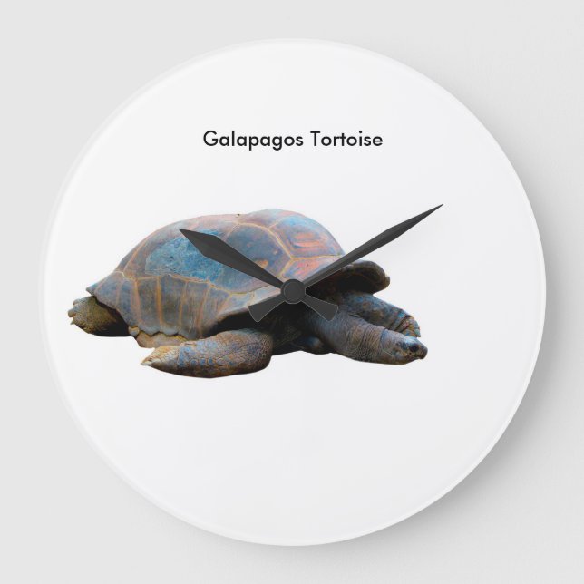 Imagen tortoise para reloj de pared redonda (Anverso)