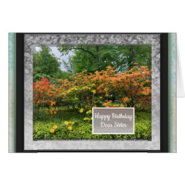 Imágenes de la tarjeta de cumpleaños de la hermana