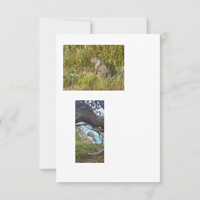 imágenes de plantilla vinculadas (Anverso)