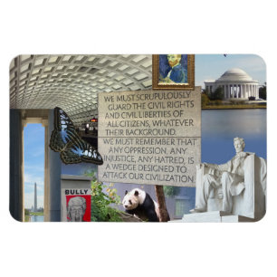 Imágenes de Washington DC colectadas con un imán f