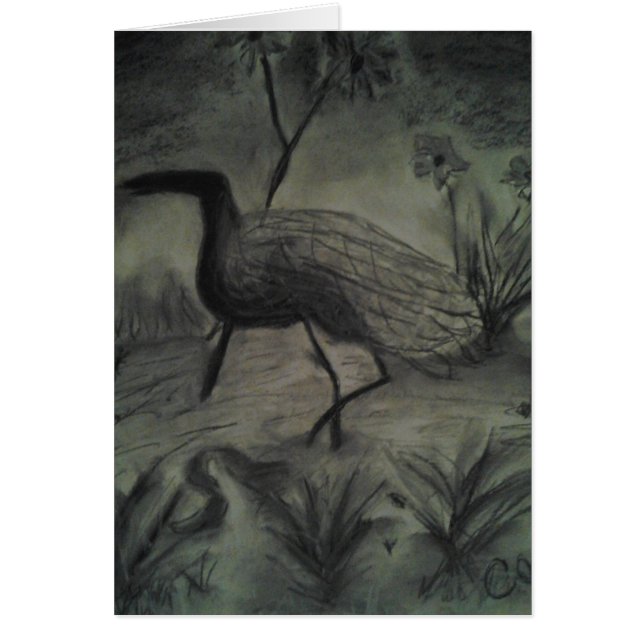 Imágenes dibujadas mano para todas las ocasiones (Frente)