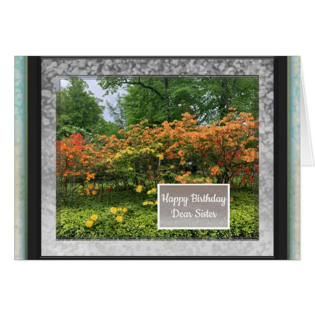 Imágenes fotográficas para tarjeta de cumpleaños d (Anverso (Horizontal))