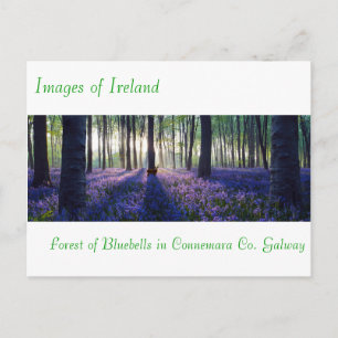 Imágenes irlandesas para la postal
