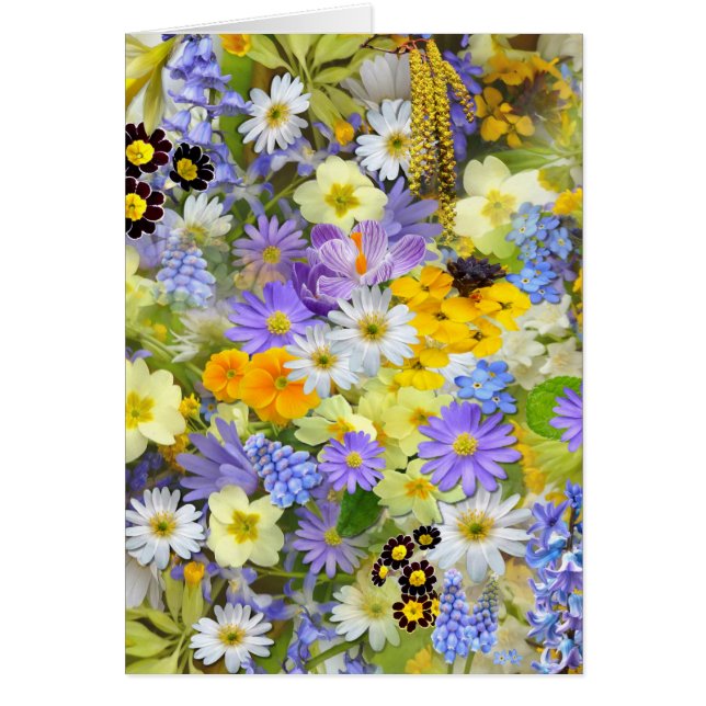 imagens com flores (Frente)