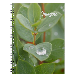 Imagine Cuaderno De Fotos En Espiral De Gotas De L