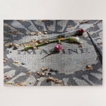 Imagínese el rompecabezas de Central Park