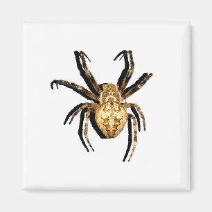 Imán