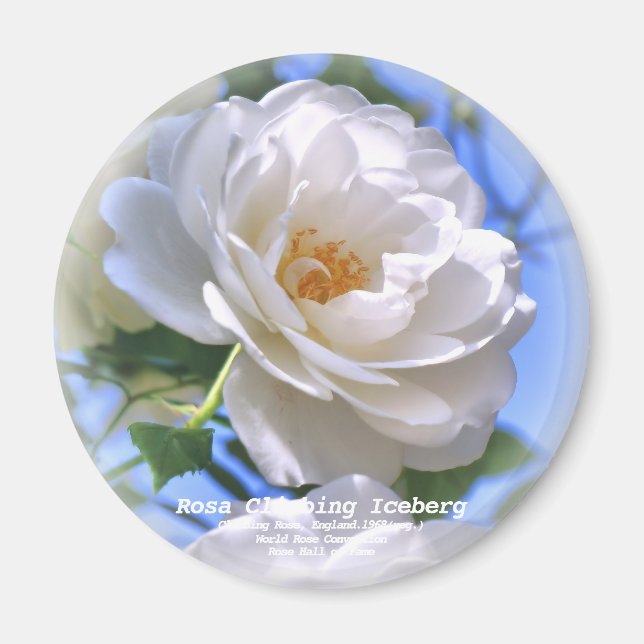 IMÁN つ る ア ス バ グ (Frente)