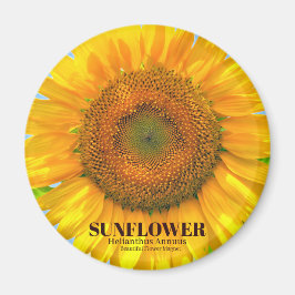 IMÁN ひ ま わ り