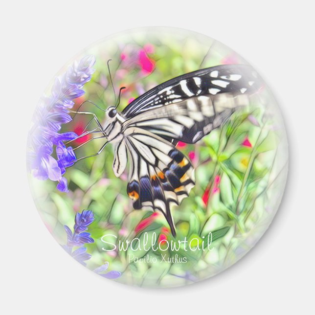 IMÁN ア ゲ ウ ハ ョ グ マ・・・ (Frente)