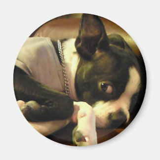 IMÁN ブチ　マグネット　丸