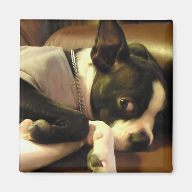 IMÁN ブチ　マグネット　角 (Frente)