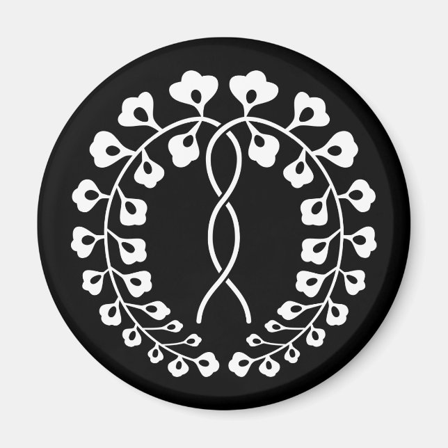 IMÁN 一条藤 (Frente)