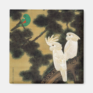 Imán 老 松 鸚 鵡 図, 若 Pine-tree & Parrot, Jakuchū