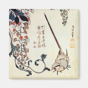 Imán 藤 に セ キ イ, 北~ Wagtail and Wisteria, Hokusai, Ukiyo