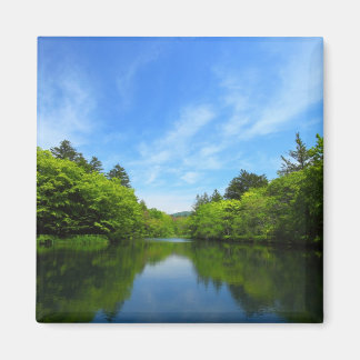 IMÁN 軽井沢・夏の雲場池