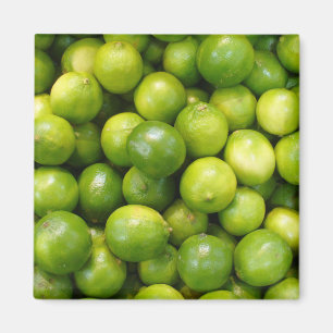 Imán 01 de las cales