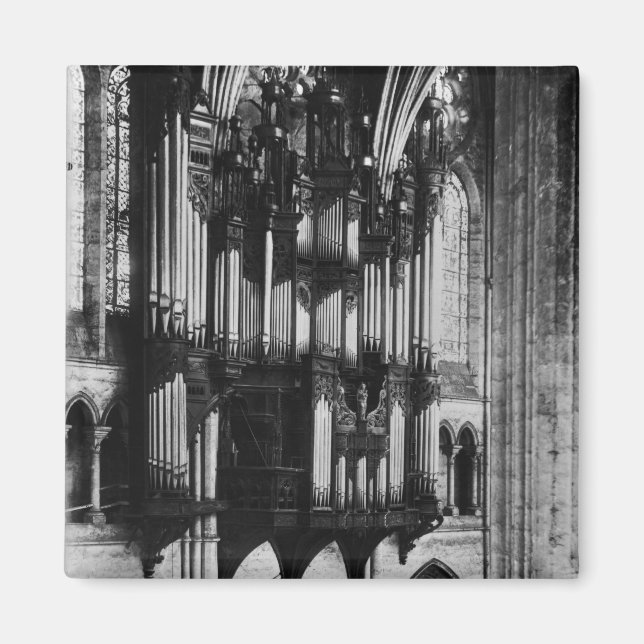 Imán 100 Orgánico (Frente)