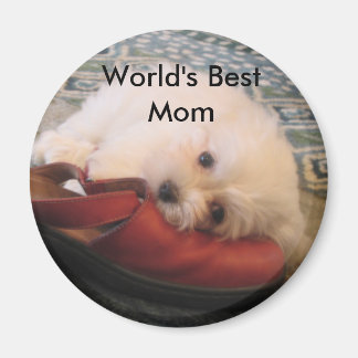 Imán 104_0471, la mejor mamá del mundo