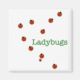 Imán 10 ladybugs