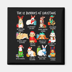 Imán 12 Gatos De Navidad Bunny Conejo Divertido Santa N