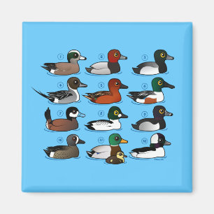 Imán 12 patos