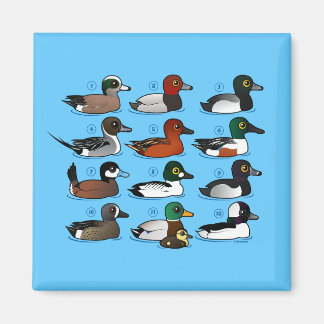 Imán 12 Patos