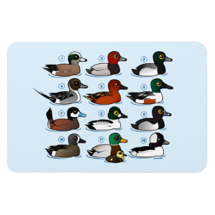 Imán 12 Patos