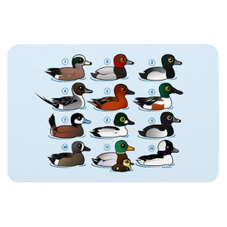 Imán 12 Patos