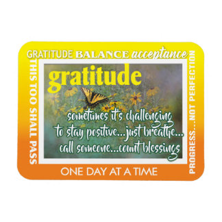 Imán 12 step gratitude magnet 26 butterflies