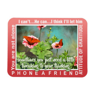 Imán 12 step thinking magnet 26 butterflies