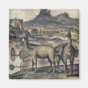 Imán 137-0627924 ilustracion de una historia de Perú s