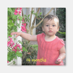 Imán 14 meses, 14 meses