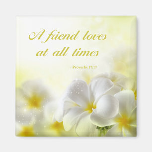 Imán 17:17 % el pipe% de los proverbios del verso el  