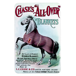 Imán 19.º C. Caballo de Chase