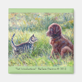 Imán 1.ª Introducción