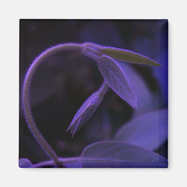 Imán 1.ᵉʳ inclinación (Frente)