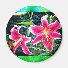 IMÁN 1 STARGAZERS MAGNET