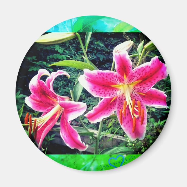 IMÁN 1 STARGAZERS MAGNET (Frente)