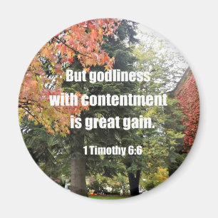 Imán 1 Timothy 6:6 Pero la felicidad con satisfacción e