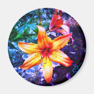 IMÁN 1DAYLILLY