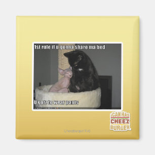 Imán 1ra regla si u que va a compartir a mamáes acuest