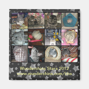 Imán 2012 de Wunderchins